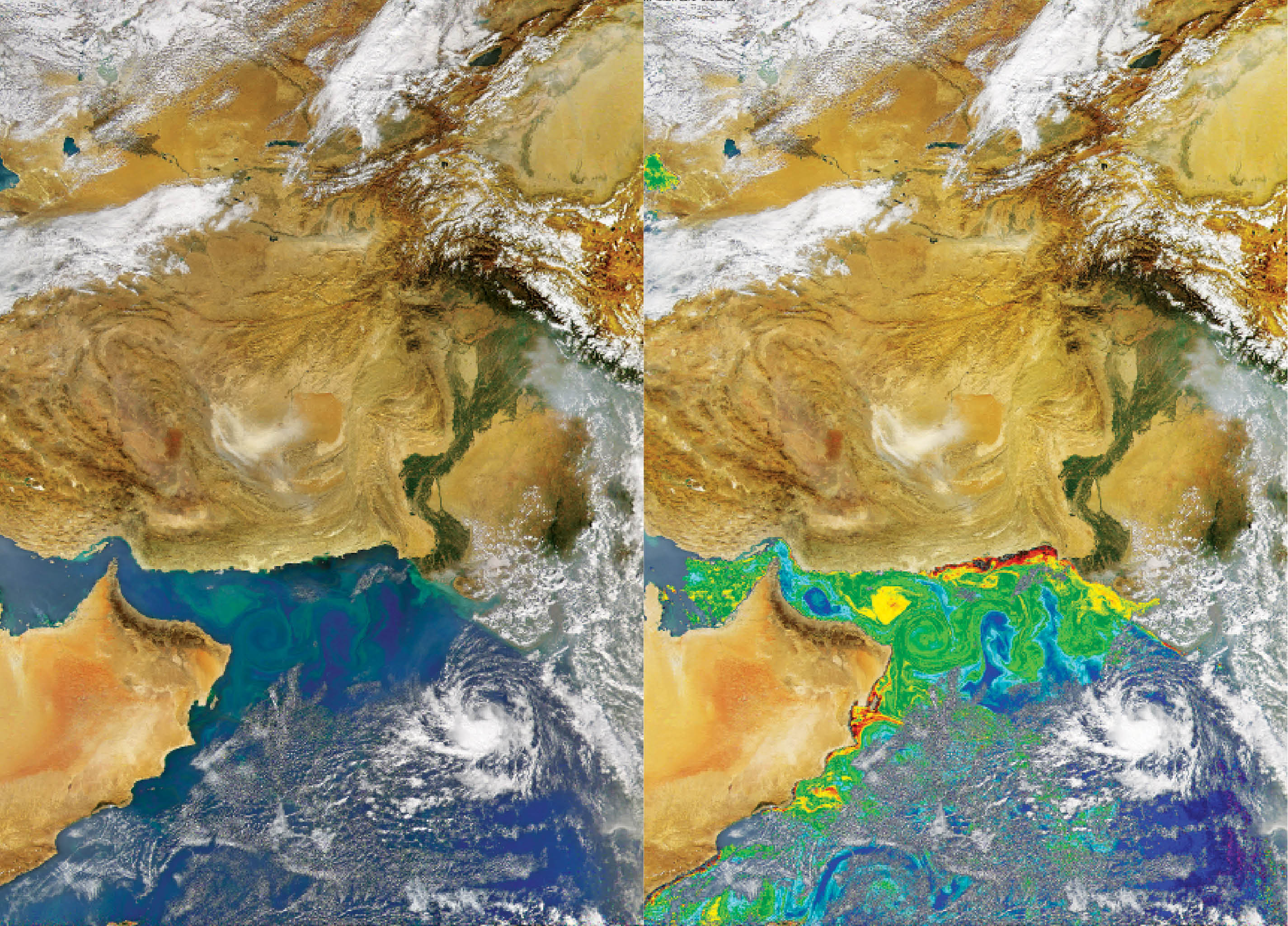 gny-nitrogen-and-the-north-east-arabian-sea